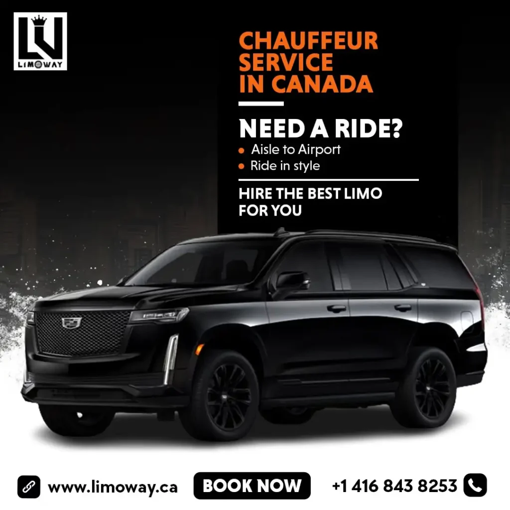 Limousine Company Marketing