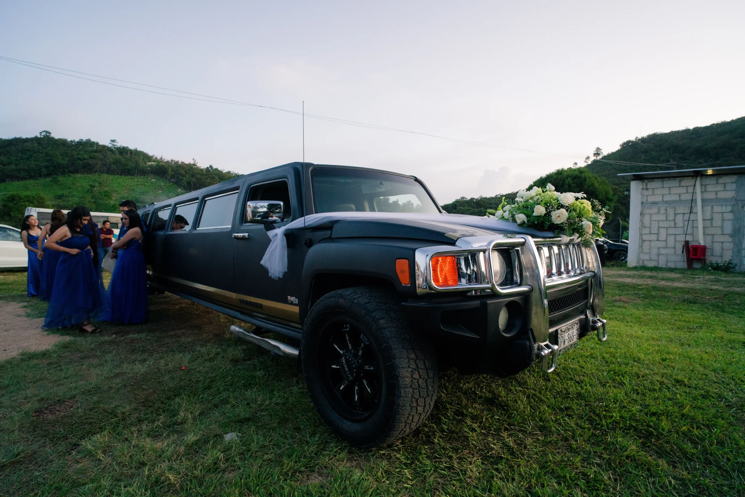 Limousine company marketing case study